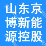 山东京博新能源控股发展有限公司
