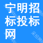 宁明招标投标网