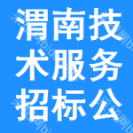 渭南技術(shù)服務(wù)招標(biāo)公告