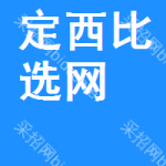定西比选网