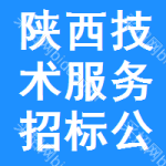 陜西技術(shù)服務(wù)招標(biāo)公告