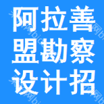 阿拉善盟勘察設(shè)計(jì)招標(biāo)信息