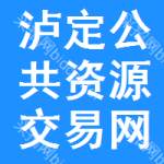 泸定公共资源交易网