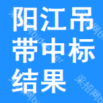 陽(yáng)江吊帶中標(biāo)結(jié)果