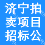 濟(jì)寧拍賣(mài)項(xiàng)目招標(biāo)公告