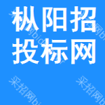 枞阳招投标网