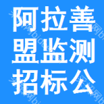 阿拉善盟監(jiān)測招標(biāo)公告