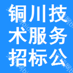 銅川技術(shù)服務(wù)招標(biāo)公告