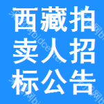 西藏拍賣人招標(biāo)公告