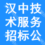 漢中技術(shù)服務(wù)招標(biāo)公告