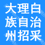 大理白族自治州招采网