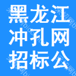 黑龍江沖孔網(wǎng)招標(biāo)公告