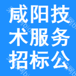 咸陽(yáng)技術(shù)服務(wù)招標(biāo)公告