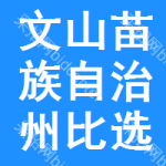 文山苗族自治州比选网