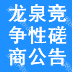 龙泉竞争性磋商公告