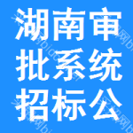 湖南審批系統(tǒng)招標(biāo)公告