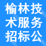 榆林技術(shù)服務(wù)招標公告