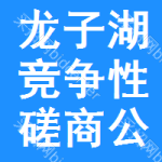 龙子湖区竞争性磋商公告