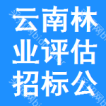 云南林業(yè)評估招標(biāo)公告