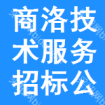 商洛技術(shù)服務(wù)招標(biāo)公告