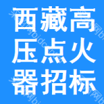 西藏高壓點(diǎn)火器招標(biāo)信息