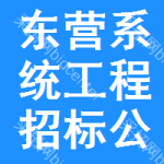 東營系統(tǒng)工程招標公告