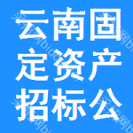 云南固定資產(chǎn)招標(biāo)公告