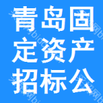 青島固定資產(chǎn)招標(biāo)公告