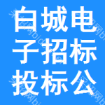 白城电子招标投标公共服务平台