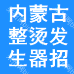 內(nèi)蒙古整燙發(fā)生器招標(biāo)信息