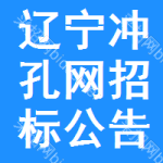 遼寧沖孔網(wǎng)招標(biāo)公告