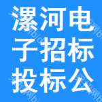 漯河电子招标投标公共服务平台