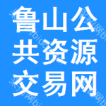 鲁山公共资源交易网