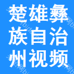 楚雄彝族自治州視頻線招標信息