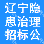 辽宁隐患治理招标公告