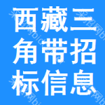 西藏三角帶招標(biāo)信息