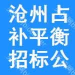 滄州占補(bǔ)平衡招標(biāo)公告